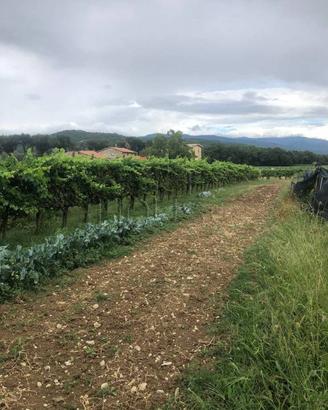 Terreno di 450 m² a Anghiari