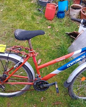 Mountain bike donna
