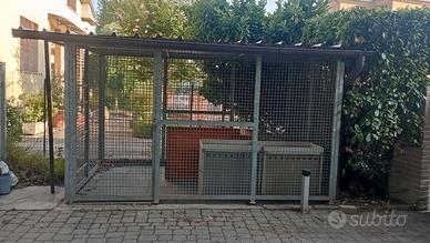 Box zincato per cani da esterno