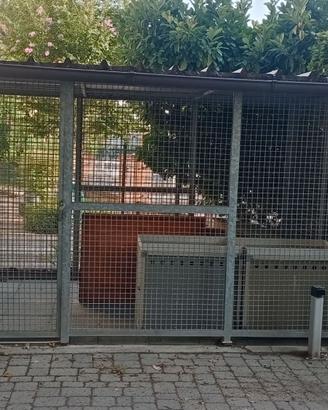 Box zincato per cani da esterno