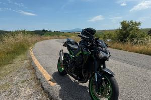 Kawasaki z900 2021