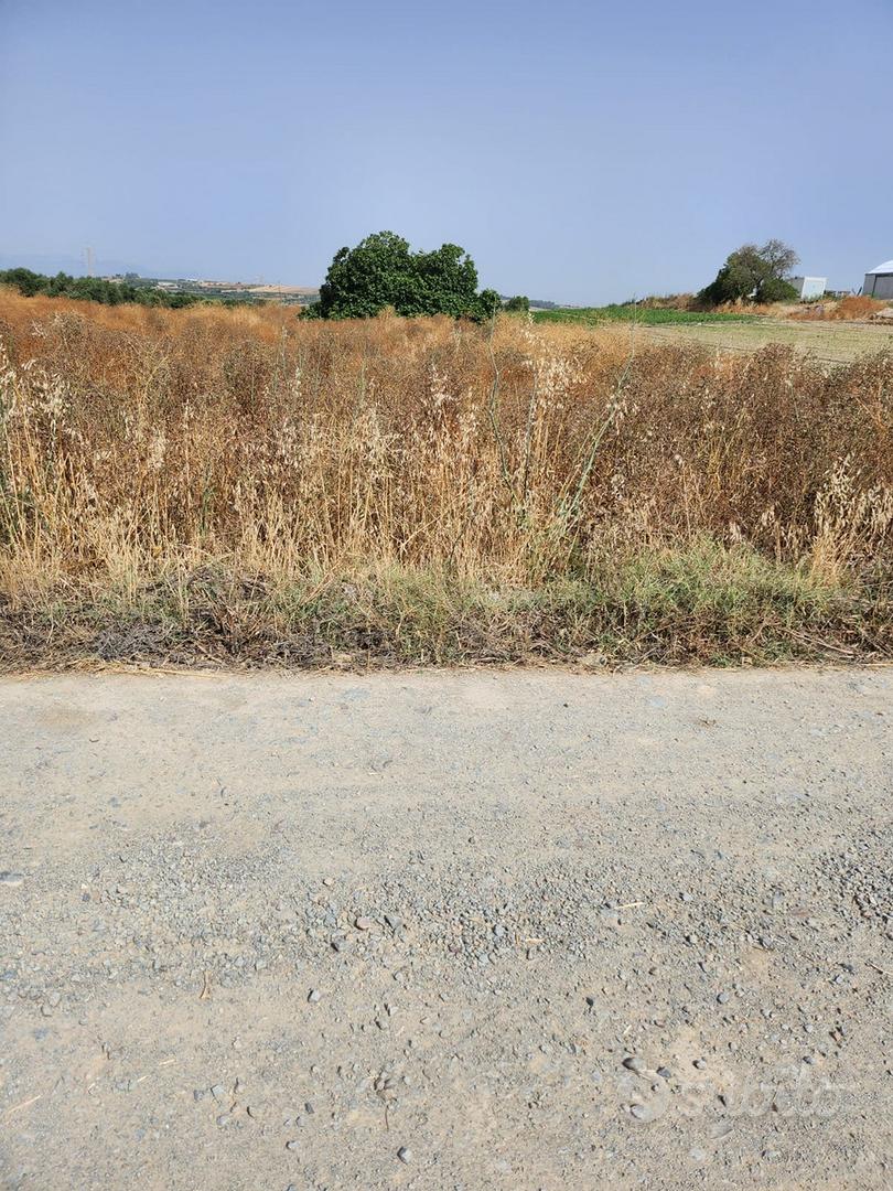 Terreno agricolo - Vista 3