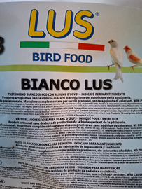 Pastoncino bianco secco canarino