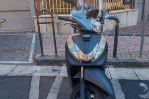 SH 300 del 2014