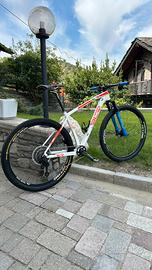 Mtb 29 BLR