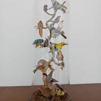 Tassidermia uccelli cupola in vetro vittoriana