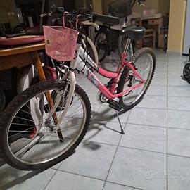 Biciclette Mountain bike 24
