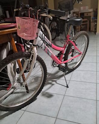 Biciclette Mountain bike 24