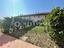 Immagine 19