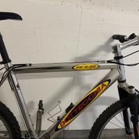 Mountain Bike Bottecchia in alluminio