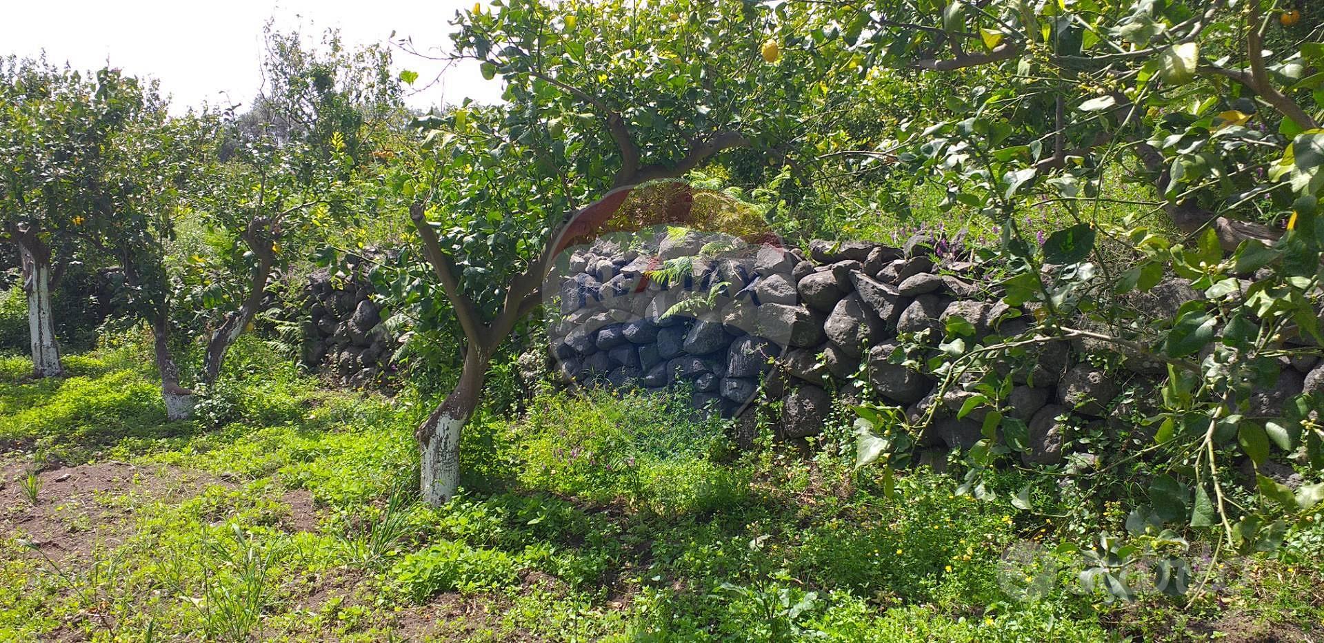 Terreno - Fiumefreddo di Sicilia - View 3