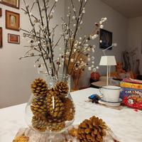 Pigne di di diverse misure e colori