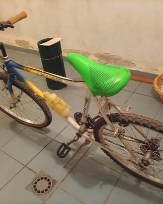 bicicletta Mountain bike 