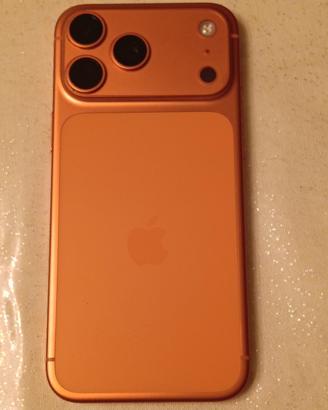 17 pro max 256 Orange