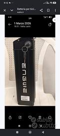 Batteria per bici elettrica