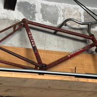 Bici Moser