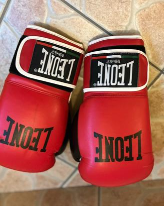 Guantoni da boxe 10oz