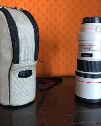 Canon EF 300mm 1:4 L IS
