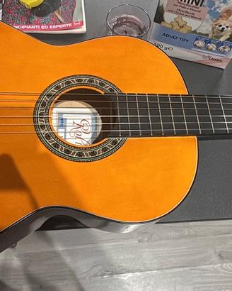 Chitarra acustica