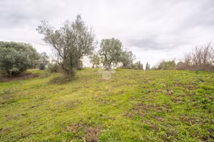 TER. AGRICOLO A SACROFANO
