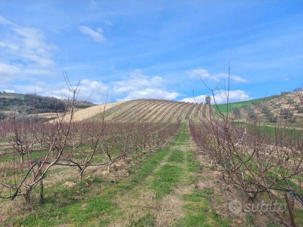 Immobile in asta di 3040 m² a Altomonte - Vista 5