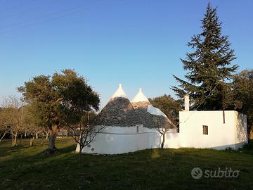 Antico trullo in pietra con terreno di 3000 mq