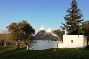 Antico trullo in pietra con terreno di 3000 mq