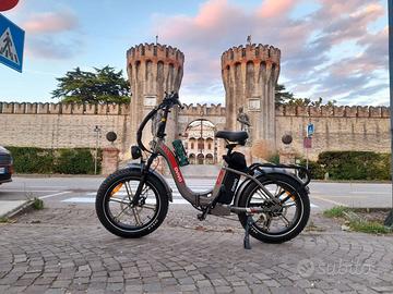 Bici elettrica
