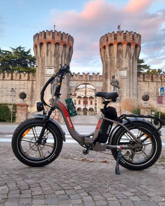 Bici elettrica