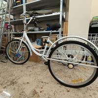 Bicicletta a tre ruote