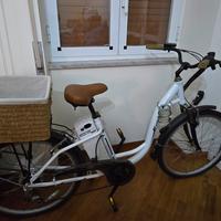 bici elettrica