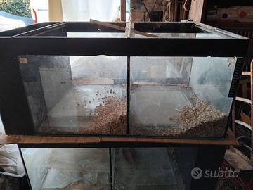 Acquari 50x80 h 35 cm.