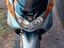 Immagine 2