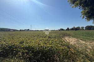 TER. AGRICOLO A BORGORICCO