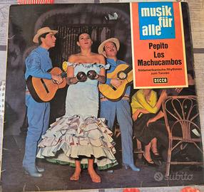 Disco in vinile 