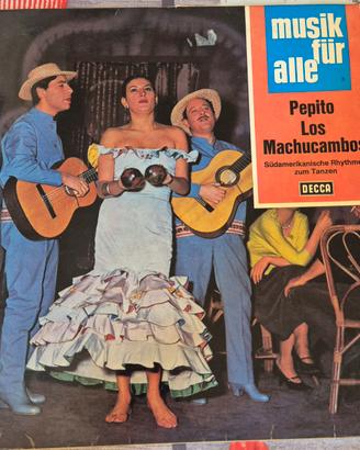 Disco in vinile 