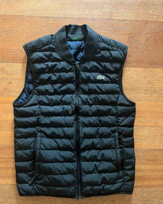 Smanicato Lacoste