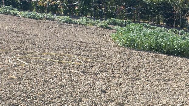 Terreno agricolo Monteprandone