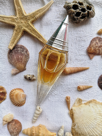 Profumo mignon Marella Ferrera