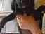 Immagine 1