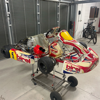 Go kart Birel 125kz