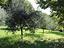 Immagine 25