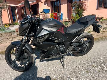 Kawasaki Z300