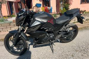 Kawasaki Z300