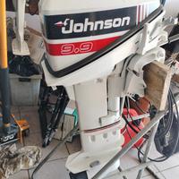 JOHNSON 9,9 -15 cv gambo lungo