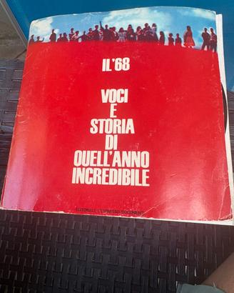 Disco flexi Guccini