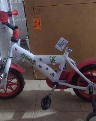 biciclette 