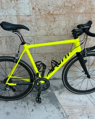 Bici da corsa