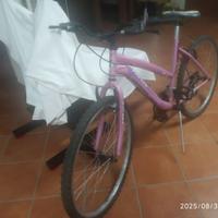 Bicicletta donna