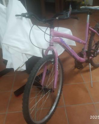 Bicicletta donna